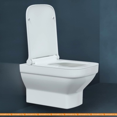 Унитаз Berges Wasserhaus Level Rimless + Level Slim SO 082119 фотография