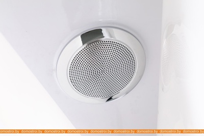 Душевая кабина WeltWasser WW500 Nesse 1004 фотография
