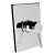 Смеситель для душа Clever Caiman Elegance 98715 фотография Смеситель для душа Clever Caiman Elegance 98715 фотография