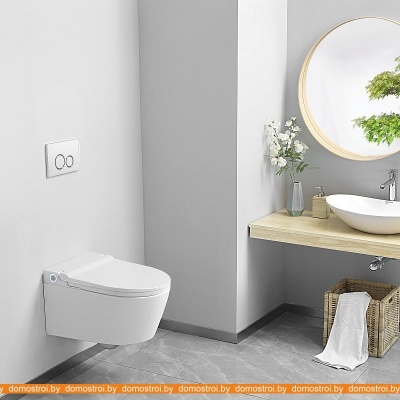 Унитаз Brunnen WAL BW-2401 фотография