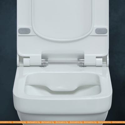 Унитаз Berges Wasserhaus Level Rimless + Level Slim SO 082119 фотография