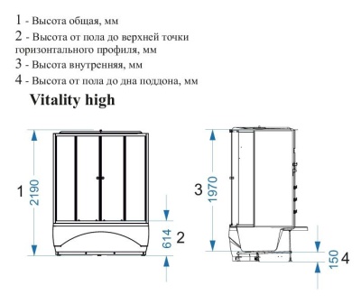 Душевая кабина Domani-Spa Vitality high 120x120 (тонированное стекло / черные стенки) фотография