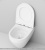 Унитаз AM.PM Spirit 2.0 FlashClean IS48001.701700 фотография Унитаз AM.PM Spirit 2.0 FlashClean IS48001.701700 фотография