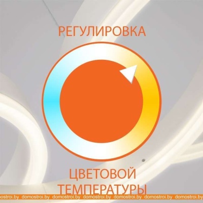 Потолочная люстра Евросвет Areo 90216/10 (Белый) фотография