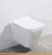 Унитаз BelBagno Dory BB522ACHR фотография Унитаз BelBagno Dory BB522ACHR фотография