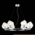 Подвесная люстра ST Luce Portici SL1175.103.06 фотография Подвесная люстра ST Luce Portici SL1175.103.06 фотография
