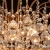 Люстра MW-Light Жемчуг 232016506 фотография Люстра MW-Light Жемчуг 232016506 фотография