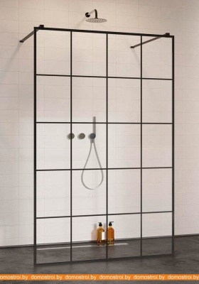 Душевая стенка Radaway Modo New Black I Factory 120 фотография