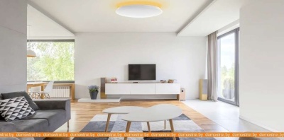 Светильник тарелка Yeelight Arwen Ceiling Light 550C YLXD013-C фотография