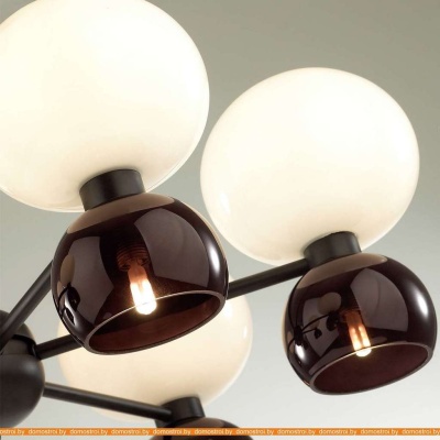 Подвесная люстра Odeon Light Changi 4978/12 фотография
