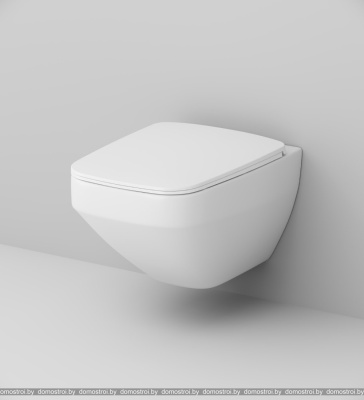 Унитаз AM.PM Inspire FlashClean C50A1700SC фотография