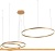 Подвесная люстра LOFT IT Ring 10017/3S фотография Подвесная люстра LOFT IT Ring 10017/3S фотография