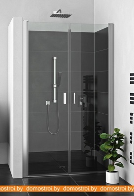 Душевая дверь Roth Lega Lift Line LZCN2/100 (хром/прозрачное) фотография