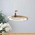 Подвесная люстра Home Light D259-2 картинка