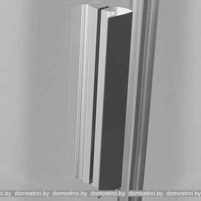 Душевая дверь Roth Tower Line TCN1/100 (серебристый/intimglass) фотография