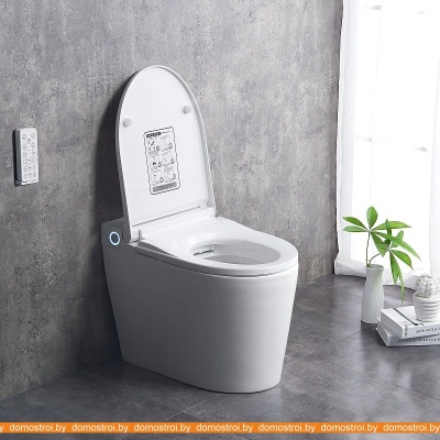 Унитаз Brunnen WAL BW-2402 (автоподъем/опускание крышки) фотография
