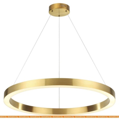Подвесная люстра Odeon Light Brizzi 3885/45LG фотография
