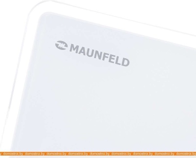 Вытяжка MAUNFELD Eagle 60 (белый) фотография