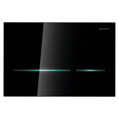 Кнопка для инсталляции Geberit Sigma 80 116.091.SG.1 фотография