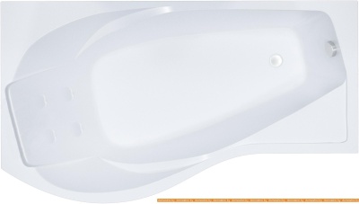 Ванны Triton Мишель R 170x96 фотография