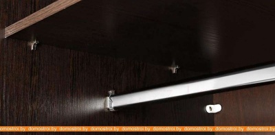 Шкаф-купе Евва 24 VHG.02 АЭП ШК.3 01 (шамони/венге глянец) фотография