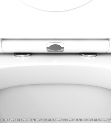 Унитаз AM.PM Spirit 2.0 FlashClean IS49001.701738 фотография