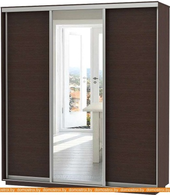 Шкаф-купе Vivat Mebel D3-02 220x60 (черное дерево) фотография