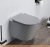 Унитаз CeramaLux B2330-3MH (светло-серый) фотография Унитаз CeramaLux B2330-3MH (светло-серый) фотография