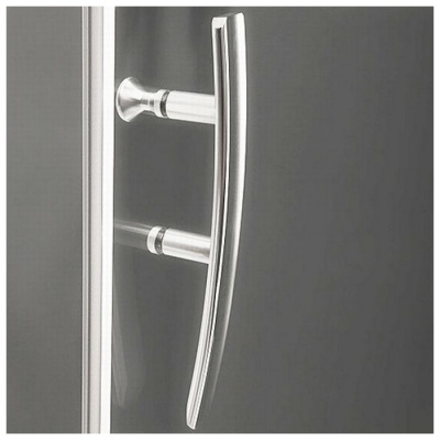 Душевая дверь Roltechnik Proxima Line PXD2N/1200 Design Plus 120x200 фотография