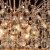 Люстра MW-Light Жемчуг 232016708 фотография Люстра MW-Light Жемчуг 232016708 фотография