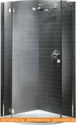 Душевой уголок Radaway Almatea PDJ 90 L (30602-01-05N) фотография