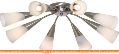 Потолочная люстра Citilux Фокус (матовый хром) [CL103181] фотография