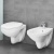 Подвесной унитаз Grohe Bau 39351000 с сиденьем фотография Подвесной унитаз Grohe Bau 39351000 с сиденьем фотография