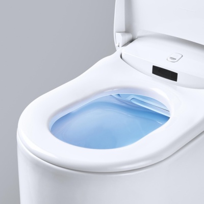 Подвесной унитаз с биде GROHE Sensia Arena [39354SH0] фотография