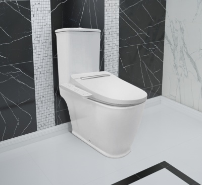 Напольный унитаз Smart F-Control 39300070 фотография
