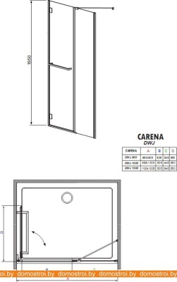 Душевая дверь Radaway Carena DWJ (99 - 100) (34322-01-01NR) фотография