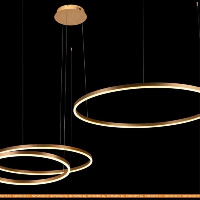 Подвесная люстра LOFT IT Ring 10017/3S фотография