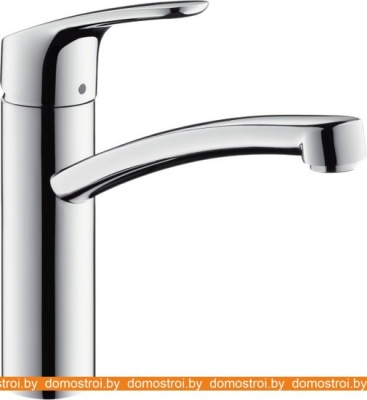 Смеситель Hansgrohe Focus 31806800 фотография