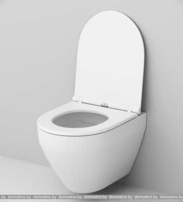 Унитаз AM.PM Spirit 2.0 FlashClean IS48001.701700 фотография