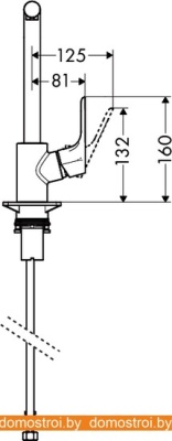 Смеситель Hansgrohe Focus 31817000 фотография