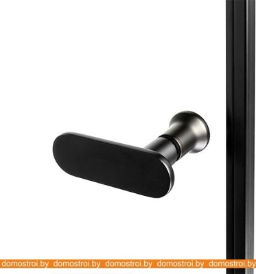 Душевая дверь NEW TRENDY New Soleo Black 100 D-0242A фотография