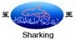 Sharking