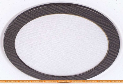 Потолочная люстра Citilux Старлайт Смарт CL703A145G RGB умная фотография