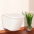 Подвесной унитаз BelBagno Amara [BB8296CH + BB2019SC] с сиденьем фотография