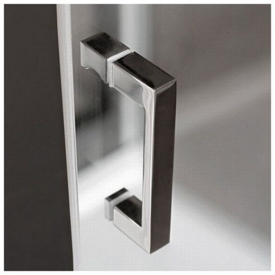 Душевая дверь Roltechnik Lega Line LLD2 120x190 фотография
