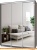 Шкаф-купе Modern Роланд 1800 (450) (зеркало/анкор темный) фотография Шкаф-купе Modern Роланд 1800 (450) (зеркало/анкор темный) фотография