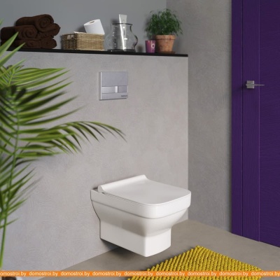 Унитаз Berges Wasserhaus Level Rimless + Level Slim SO 082119 фотография
